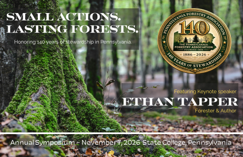 Small Actions Lasting Forests