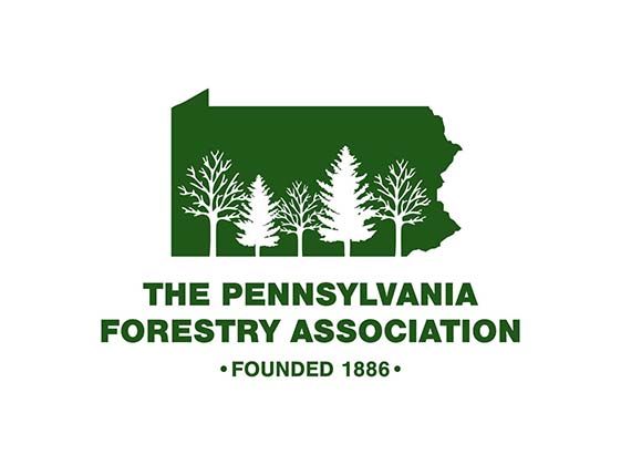 Pfalogo Solid Rectangle