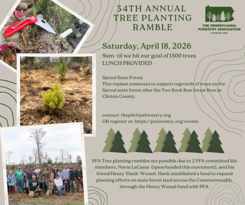 2026 Pfa Tree Planting Ramble